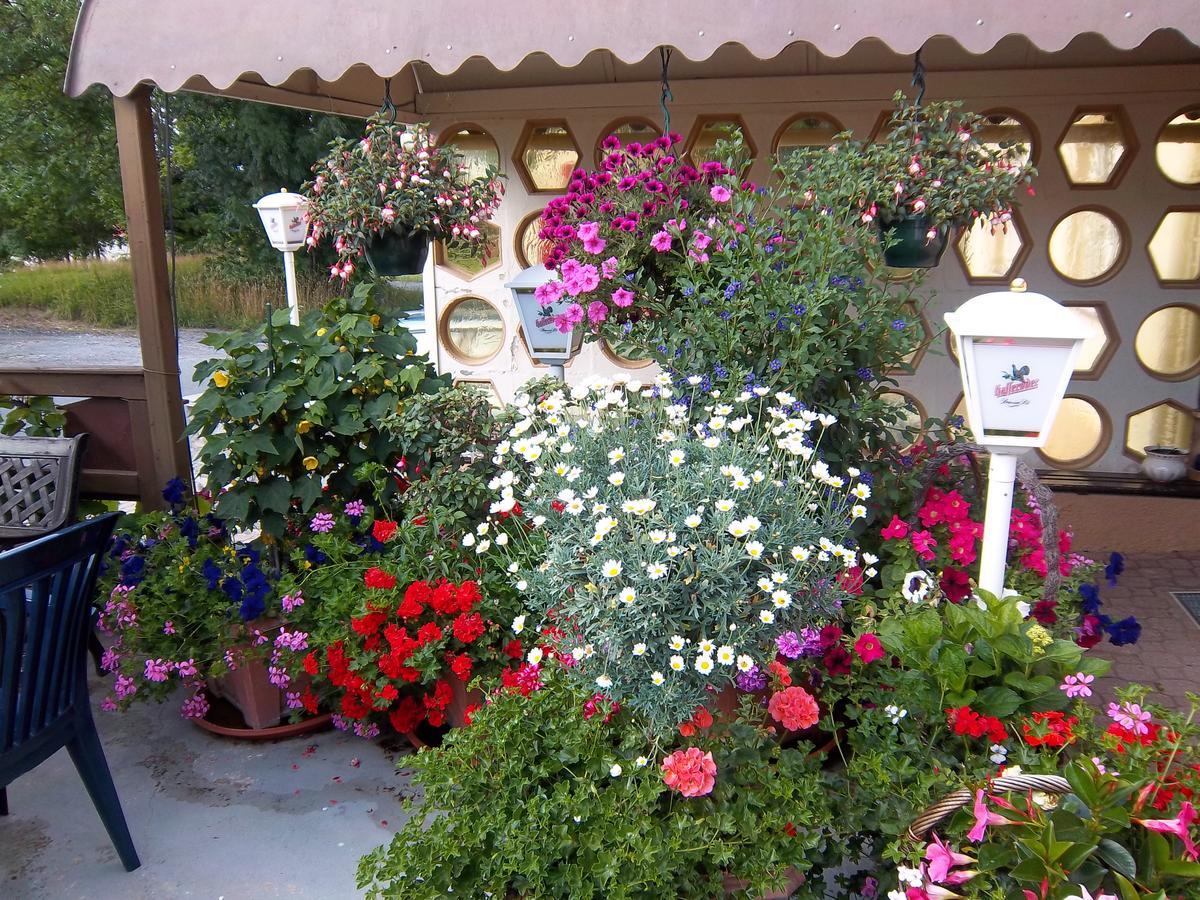 Hotel & Pension Assmann Hochkirch 外观 照片