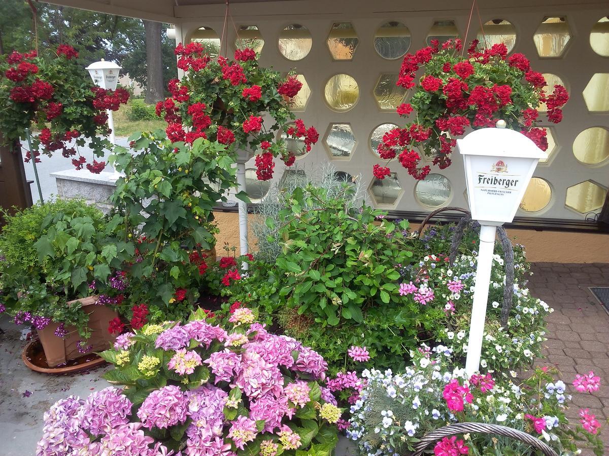Hotel & Pension Assmann Hochkirch 外观 照片