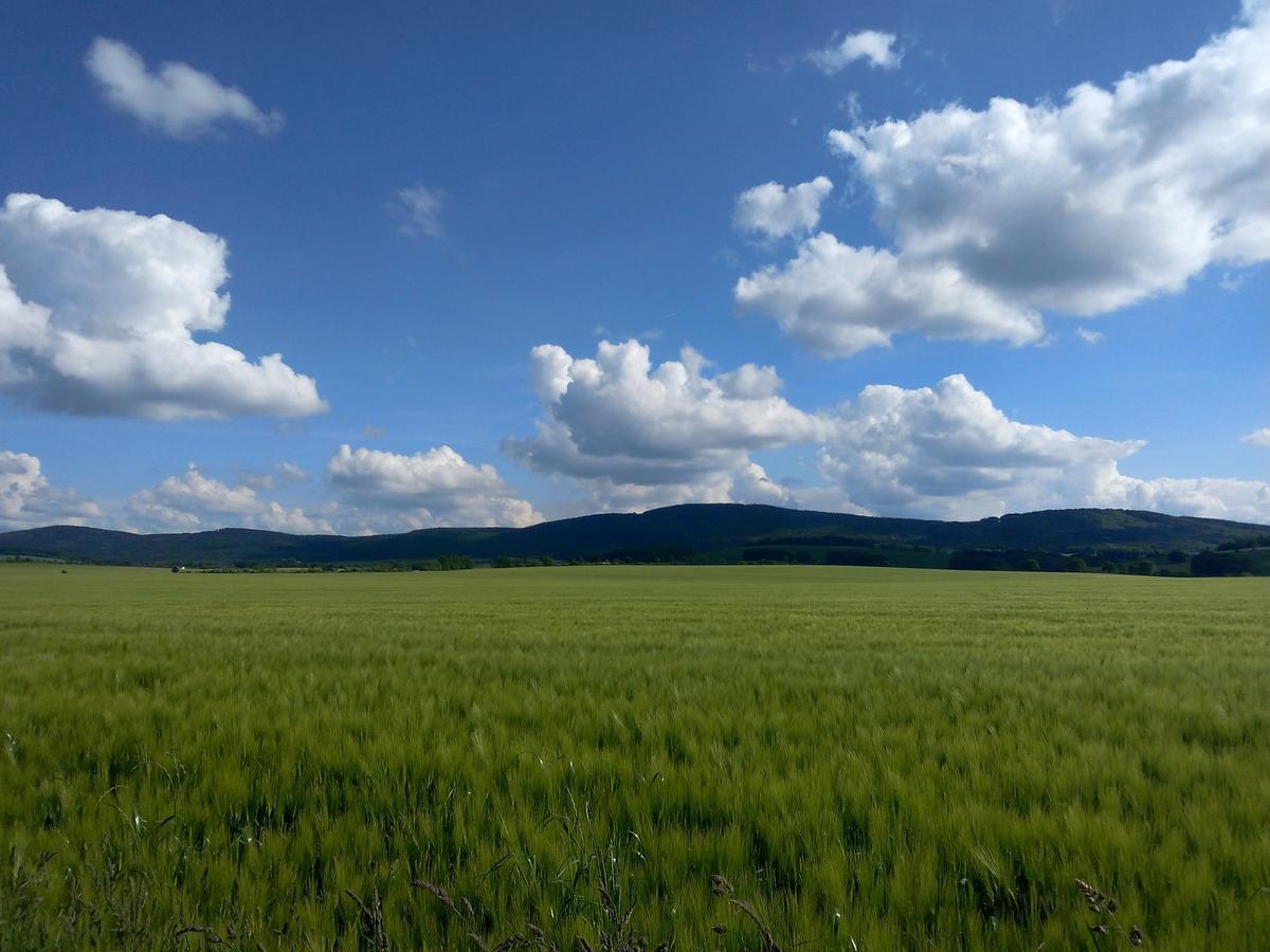 Hotel & Pension Assmann Hochkirch 外观 照片