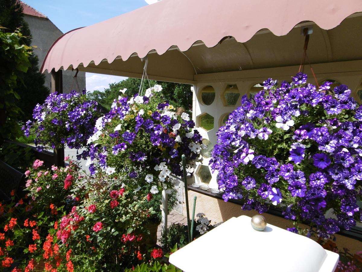 Hotel & Pension Assmann Hochkirch 外观 照片