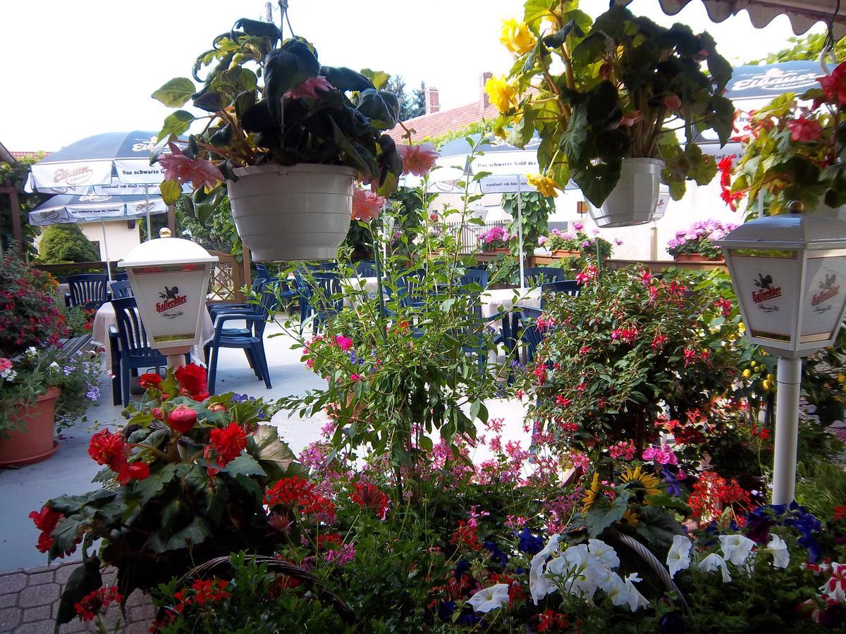 Hotel & Pension Assmann Hochkirch 外观 照片
